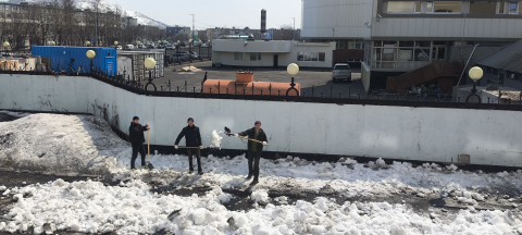 Сотрудники Камчаттехмордирекции приняли участие во Всероссийском субботнике «Мы за чистоту»