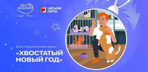 Сотрудники Камчаттехмордирекции приняли участие в благотворительных акциях «Праздник на стол», «Внуки с подарками» и «Хвостатый Новый год»